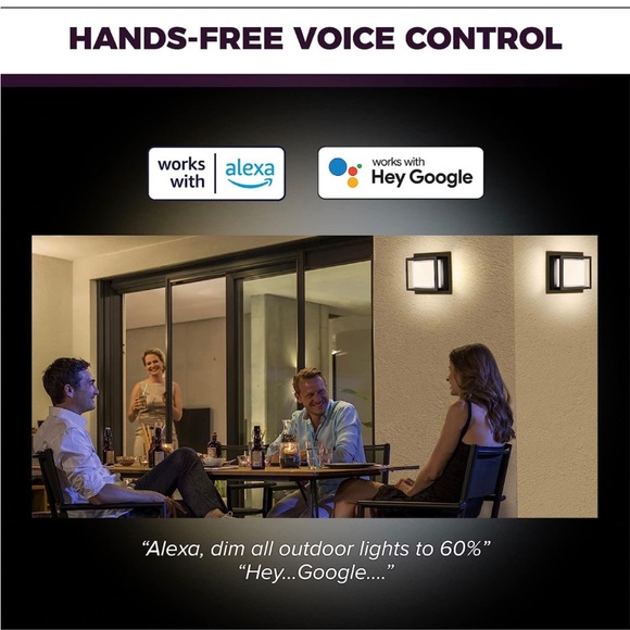 Smart Wall Light - Outdoor Wall Light Compatible with Alexa, Google Assistant - Picture 5 of 7